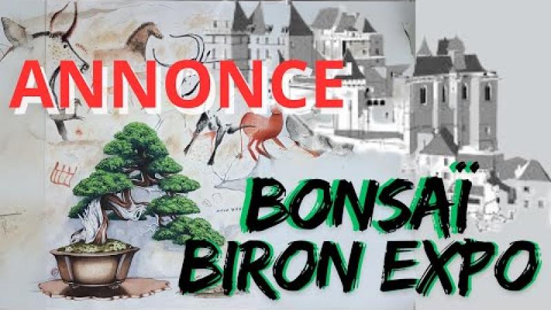 Faire une exposition de bonsaï dans le château de Biron