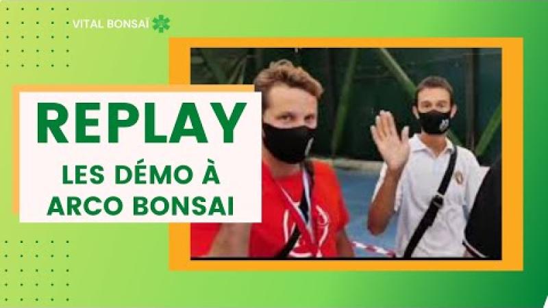 Les démonstrations d'une exposition de bonsaï