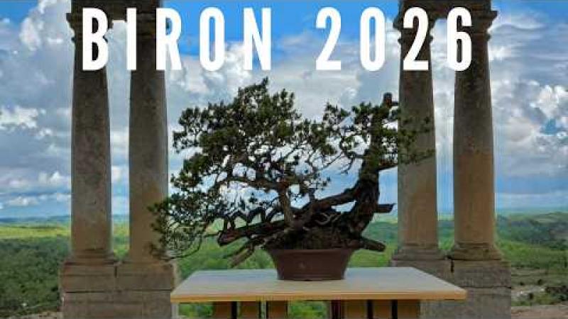 L'exposition de Bonsaï et de Suiseki au château de Biron, en direct