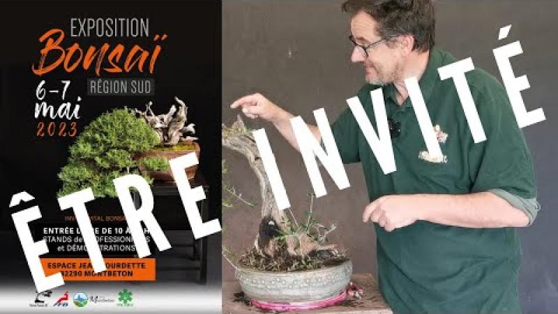 Être l'invité d'une exposition de bonsaï