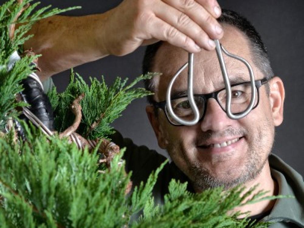 vital bonsai