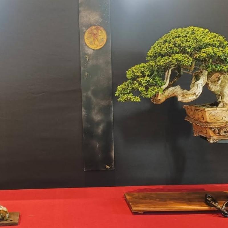 Arbre remarqué 2026 : François Gau
